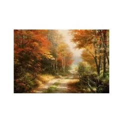 Diamond Dotz Diamond Art Kit 21.7"X30.7" -Professional Arts and Crafts Supplies Store 7790afa5b1cc2cffc0d7ddcbf53b27a336