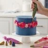 Cake Decorating Set W/Piping Tips 17/Pkg -Professional Arts and Crafts Supplies Store 88bc6ce9f9517882a5f22a2dc5e22c838d