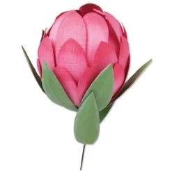 Sizzix Bigz Die By Olivia Rose