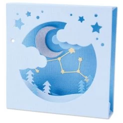 Sizzix Thinlits Dies By Olivia Rose 10/Pkg