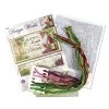 Design Works Counted Cross Stitch Kit 10"X20" -Professional Arts and Crafts Supplies Store db526f989f5202bead345260e1de9cd36e